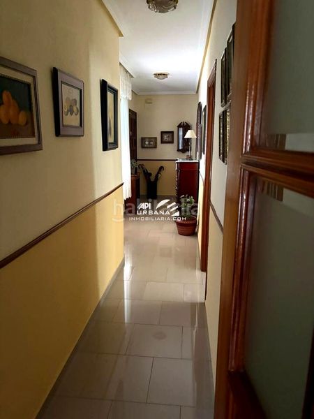 Foto cddb0a72-1f78-4f91-9e1c-3cbbddd95513. Pis a Centro Lucena