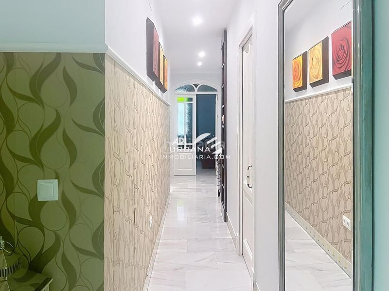 Foto be50f716-dfeb-4448-9458-0f7c4d4aa049. Planta baixa a Centro Lucena