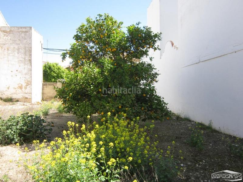 Foto 1b398641-804c-4395-937c-b1b03f963ab1. House in Navas del Selpillar Lucena