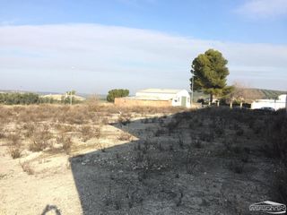 Residential Plot in Las Vegas - Campoaras