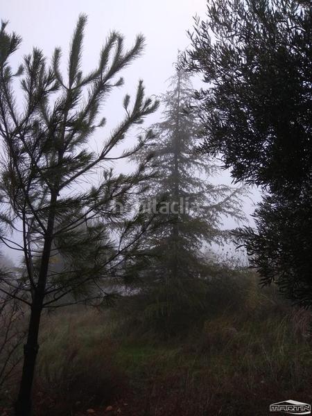 Foto 1f23e8ef-8ea8-464b-9652-dcf6681fa26d. Terreno residencial en Las Vegas - Campoaras Lucena