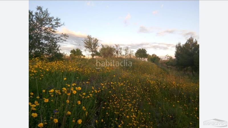 Foto 66bbf1b1-427a-4059-b032-c0ec4c9e34d2. Terreno residencial en Las Vegas - Campoaras Lucena