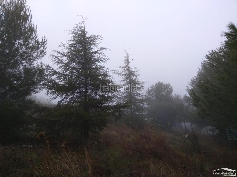 Foto 9435beb9-2f70-4ec4-a875-816eed75005a. Terreno residencial en Las Vegas - Campoaras Lucena