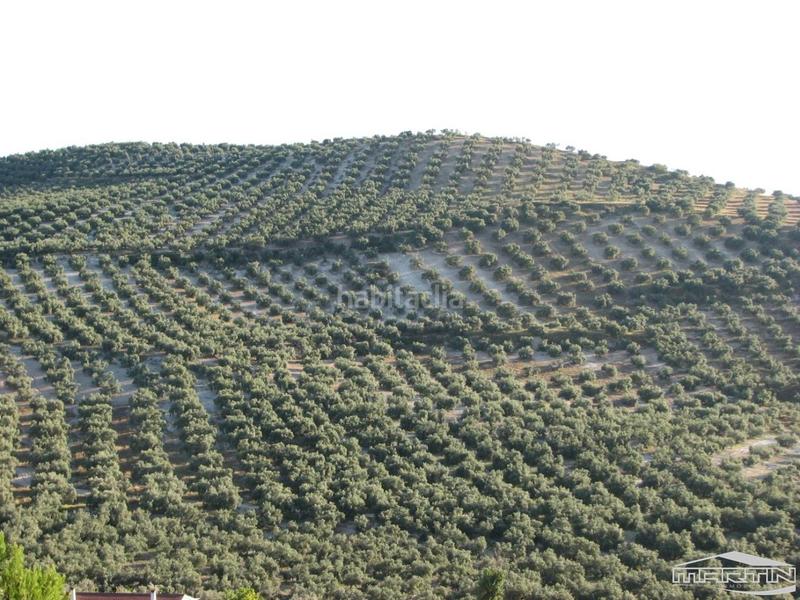 Foto 08453443-2527-4f5c-a0e1-5cbe893d33d4. Terreno residenziale in Las Vegas - Campoaras Lucena