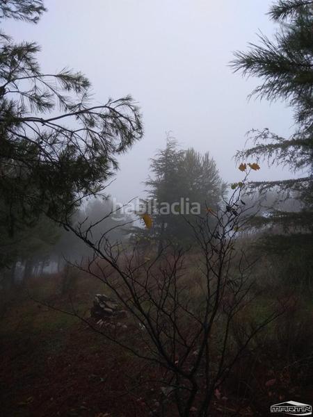 Foto 2a7030e7-557e-4b2d-a1d6-4e54d823563b. Terreno residenziale in Las Vegas - Campoaras Lucena