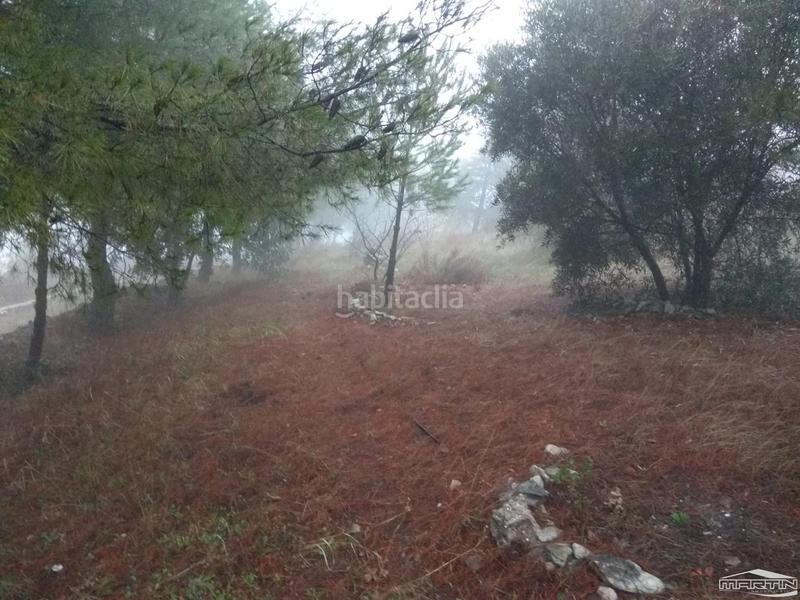 Foto 2dbed4be-4e71-4509-9d6e-f55460287770. Terreno residenziale in Las Vegas - Campoaras Lucena