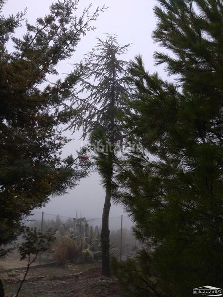 Foto 4a42b3c5-dfe0-4a8a-af35-0dd418fb5a4a. Terreno residenziale in Las Vegas - Campoaras Lucena