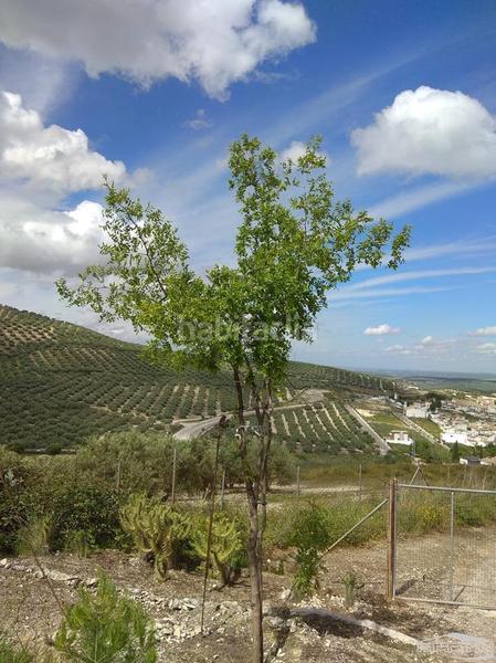 Foto 507f8b21-dcb5-45de-a4f1-147d9c7b9996. Terreno residenziale in Las Vegas - Campoaras Lucena