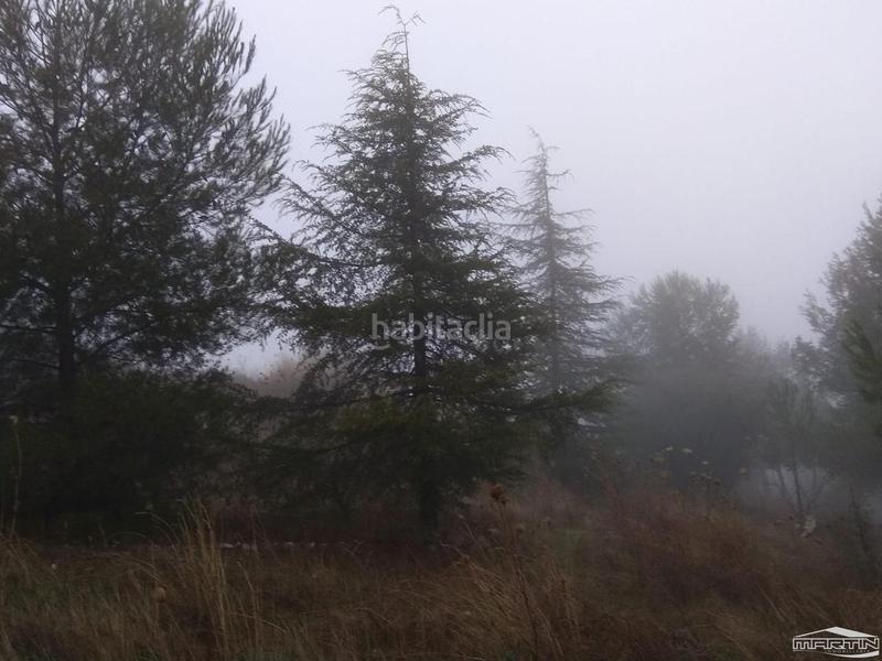 Foto 71597e2f-3310-4134-9e83-1169effd4c3b. Terreno residenziale in Las Vegas - Campoaras Lucena