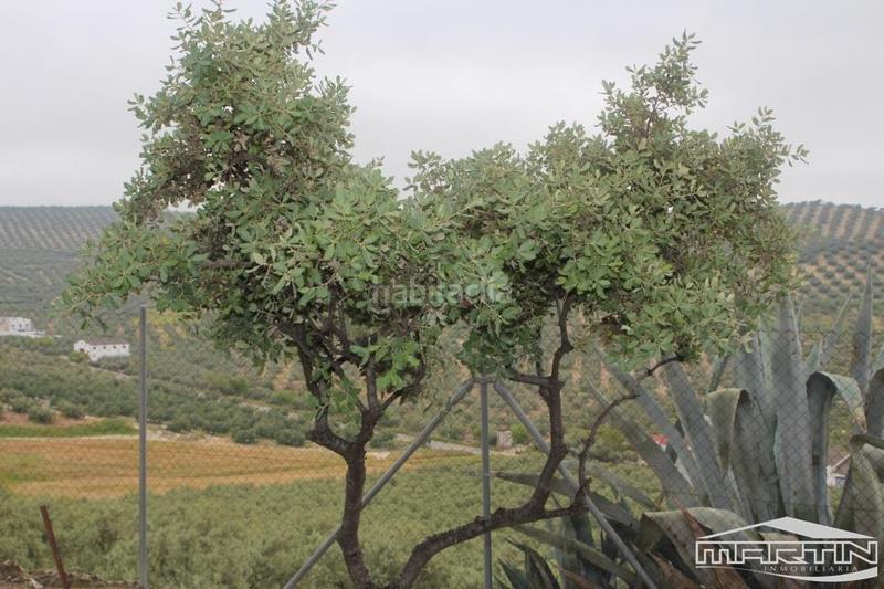 Foto c6ab5947-e8c8-44ef-a79d-749fd76e4f74. Terreno residenziale in Las Vegas - Campoaras Lucena