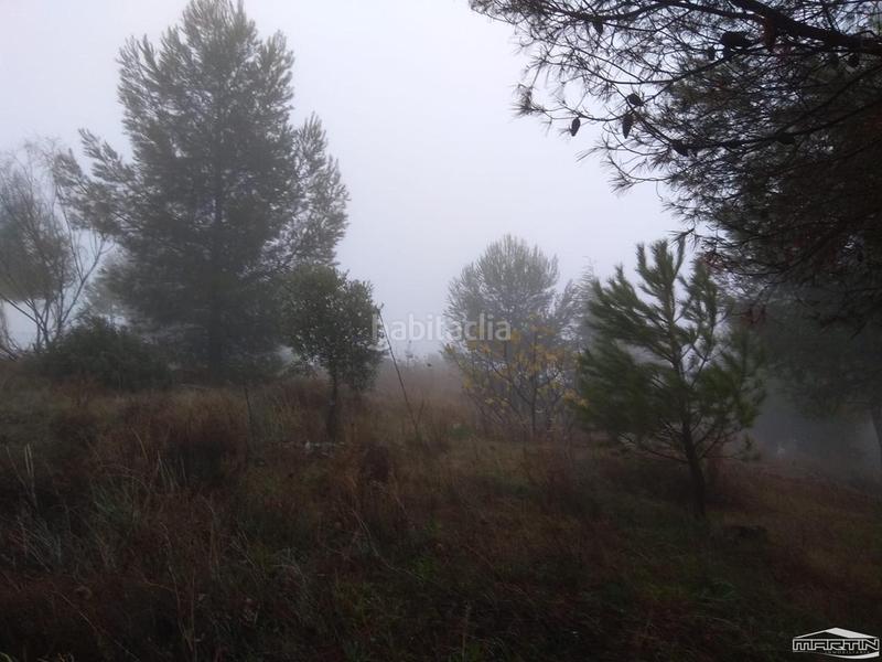 Foto e1ee92ba-9543-4b7e-a920-4890fc93277d. Terreno residenziale in Las Vegas - Campoaras Lucena