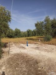 Propriété  Paraje el barrancón, pol.101, par.183, 66