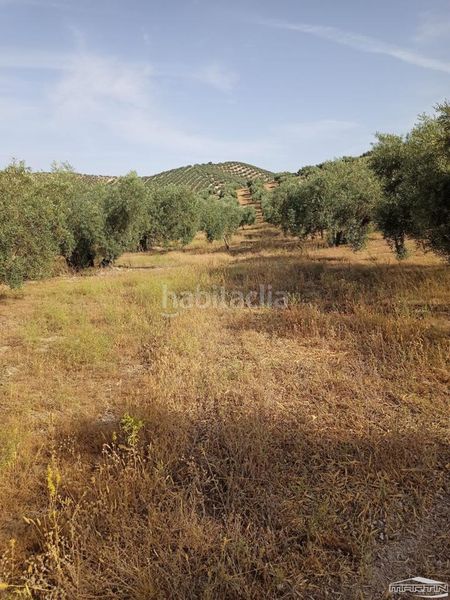 Foto 13a84299-64e3-4f29-b522-d7eaec59716e. Finca rústica a Jauja Lucena