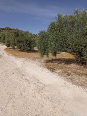 Finca rústica a Paraje El Barrancón, Pol.101, Par.183, 66