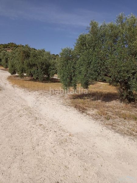 Foto 60935306-9058-4c0b-885c-a4a4298c3f85. Finca rústica a Jauja Lucena