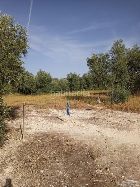 Foto ce48278d-6821-42a7-8891-9b510d2ba706. Finca rústica a Jauja Lucena