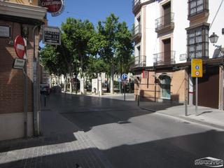 Lloguer Local Comercial a Centro