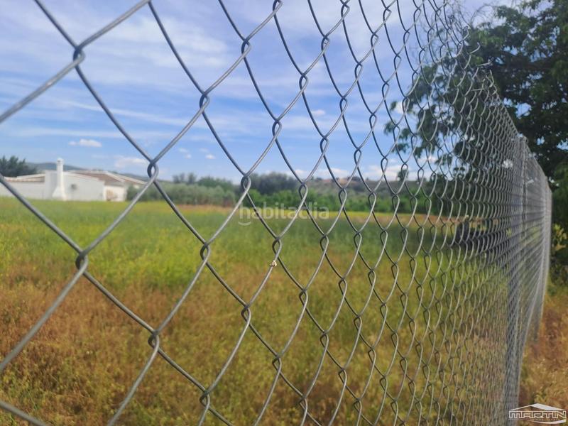 Foto 9f5c1dfe-7a15-4801-b6ae-08dcc2dd99b6. Finca rústica a Cabra