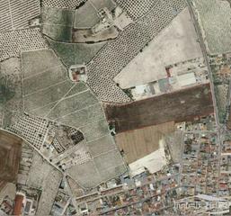 Terreny residencial a Moriles-aguilar