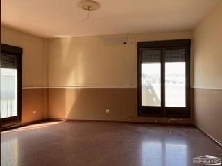 Flat in Doctora 8