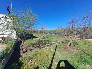 Finca rústica  Cristo marroquí
