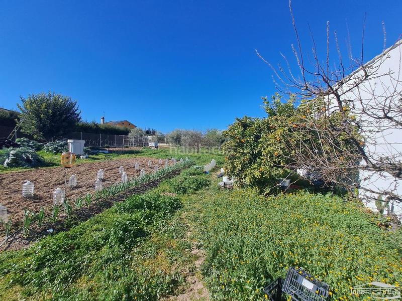 Foto dee0947a-d59c-4cb7-8ce3-4127d25b5755. Wohngrundstück in Las Vegas - Campoaras Lucena