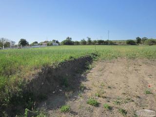 Finca rústica a De la torca