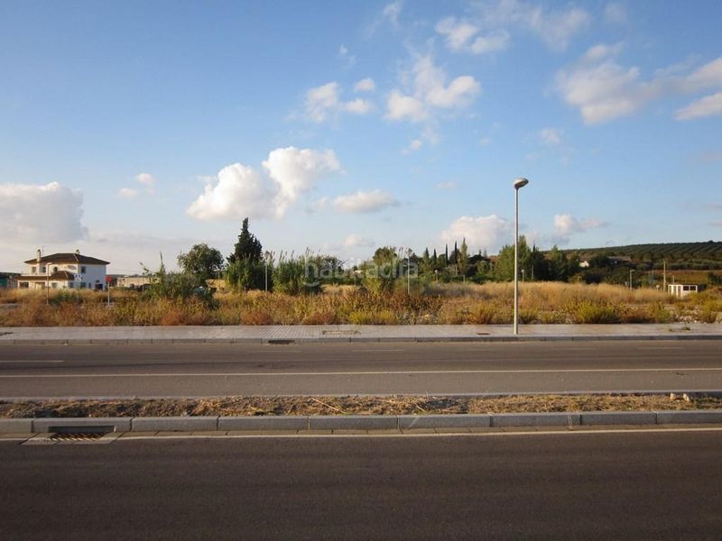 Foto d7c31b03-0d34-4e58-af4f-9be892d2e0d8. Wohngrundstück in del medio ambiente 17 in Poleares Lucena