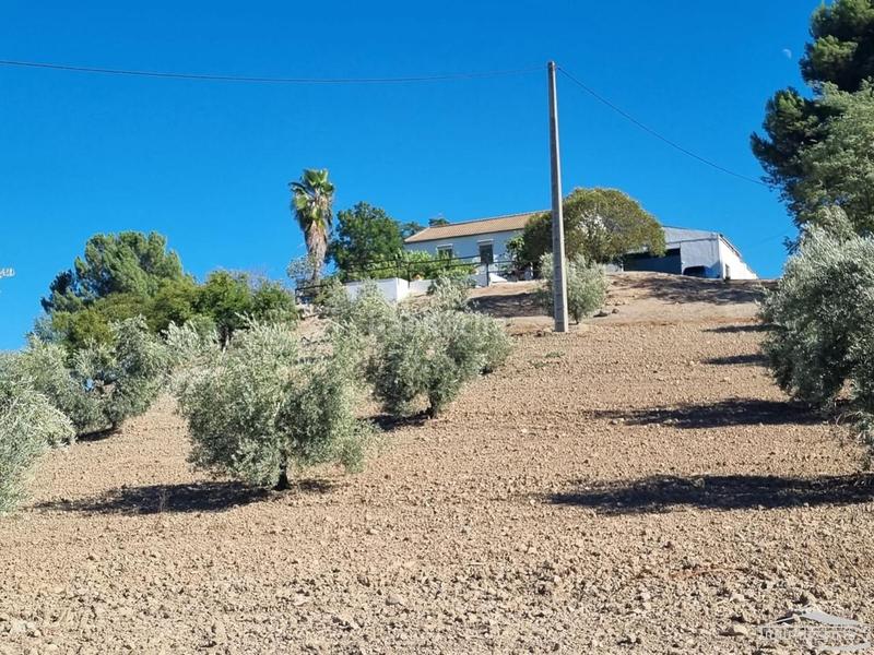 Foto a5845b49-6bc7-4020-85a2-2d87163c2ad4. Casa con piscina in Cabra