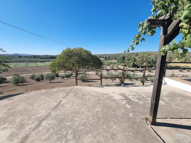 Foto 16b63301-8a2f-4faa-89a8-799e9f77a976. House with pool in Cabra