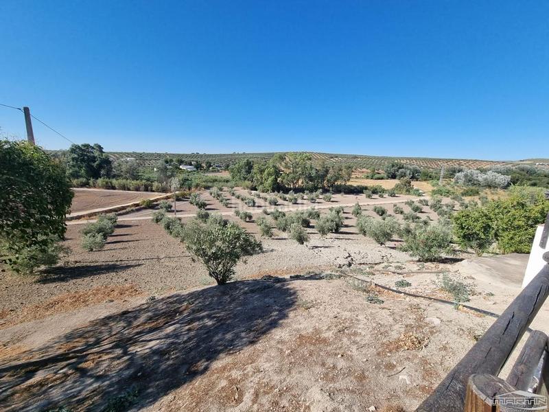 Foto 207aff34-c0b6-45a5-bb99-a80556600f1c. House with pool in Cabra