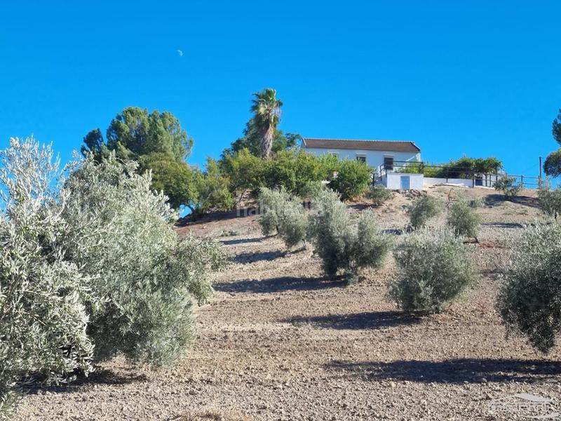 Foto 474ec265-dec0-4f93-bf06-ae8877fcd3e3. House with pool in Cabra