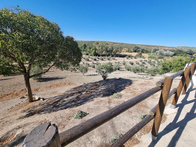 Foto af422db7-fc3d-483f-aed6-ee160f33ec51. House with pool in Cabra