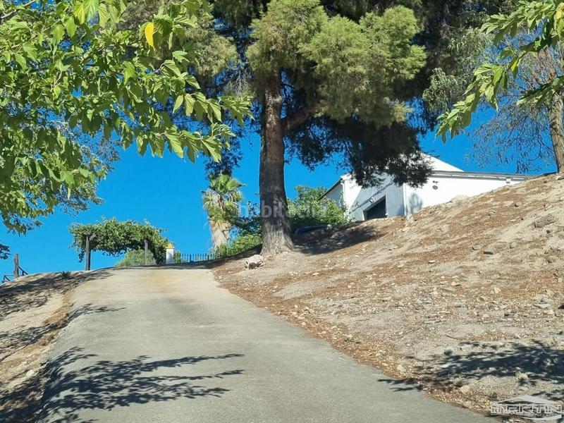 Foto c49fb87b-2e23-4bb1-b415-ced1b95ce16e. House with pool in Cabra