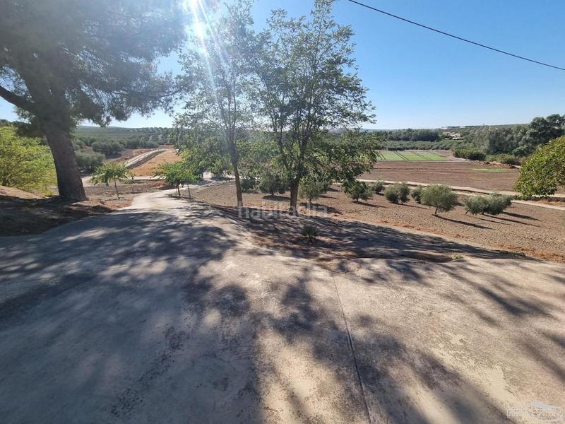 Foto d3effe17-d083-4af0-ba34-124dd1969ffa. House with pool in Cabra
