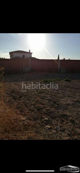 Foto acbffc8d-bf7d-43e1-b991-d333957df7ef. Finca rústica a urbanización las tendillas a Moriles