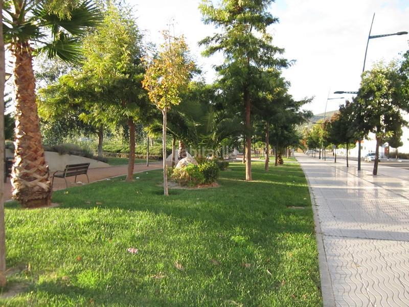 Foto 00dbdf3e-ad6e-40b9-99b2-981d1fea4711. Piso en de luis alberto de cuenca 70 en El Valle Lucena