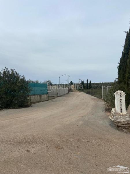 Foto 196b250e-76ae-4f5c-b6f0-a12c05c7a7ad. Rural plot in Cabra