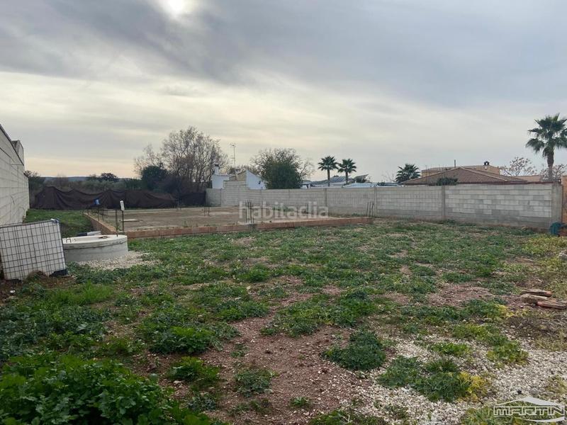 Foto 82ec7503-7aab-4e58-8e64-877a7faad74c. Rural plot in Cabra