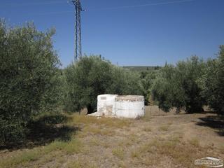 Casa  Lucero