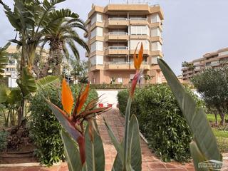 Location Studio  Urbanización costa del oro