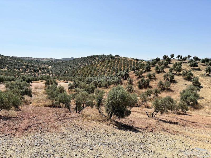 Foto 7b560aa4-7697-4569-9bc2-cd72cd5a4f2b. Landgut in Jauja Lucena