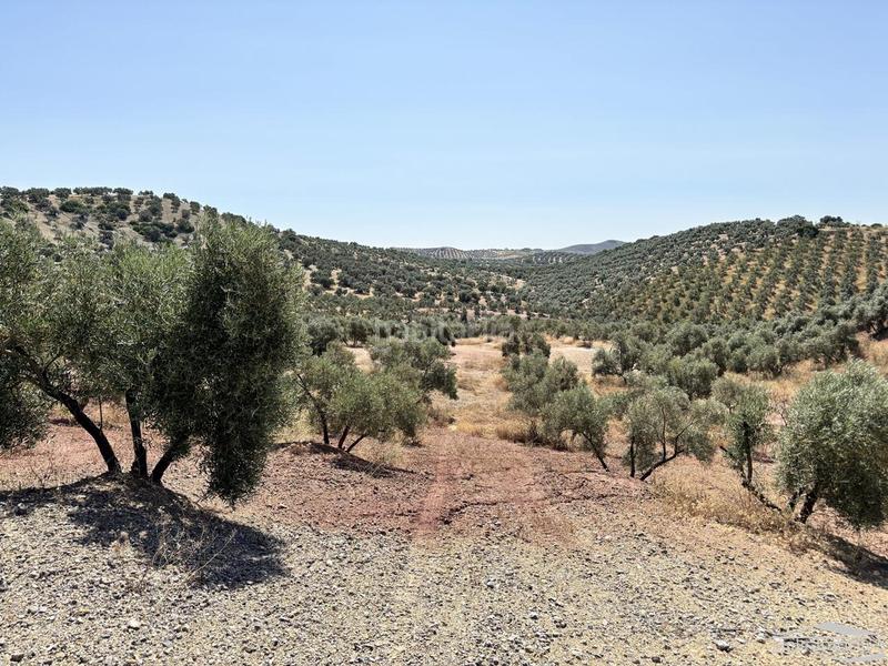 Foto 3c5852a2-8833-4f7c-a2d7-5ea35af23372. Propriété dans Jauja Lucena