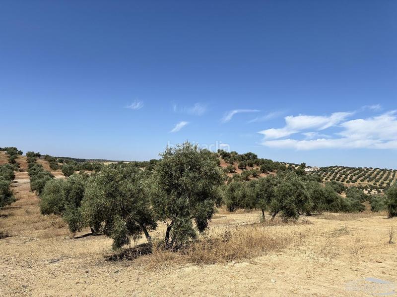 Foto a86a72e3-f977-40da-846b-2a29155ee4e7. Propriété dans Jauja Lucena