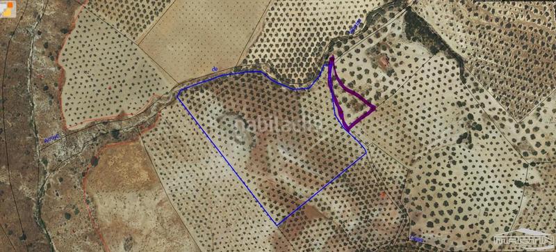 Foto daca0761-42a5-4bc3-9f31-f435c8d949eb. Finca rústica a Jauja Lucena