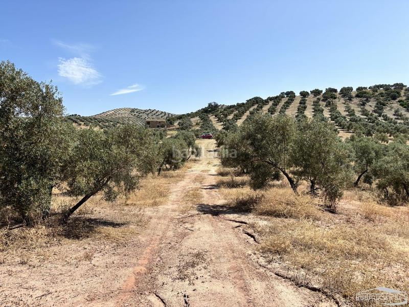 Foto ede98456-ed2d-41b8-8eb2-de59b5d955f0. Finca rústica en Jauja Lucena