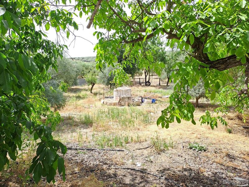 Foto 60a37e19-e664-430d-abe3-aca5499db164. Haus mit pool in Poleares Lucena