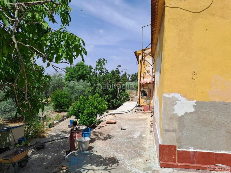 Foto ede46175-5802-4ff9-89da-80f78a85e371. House with pool in Poleares Lucena