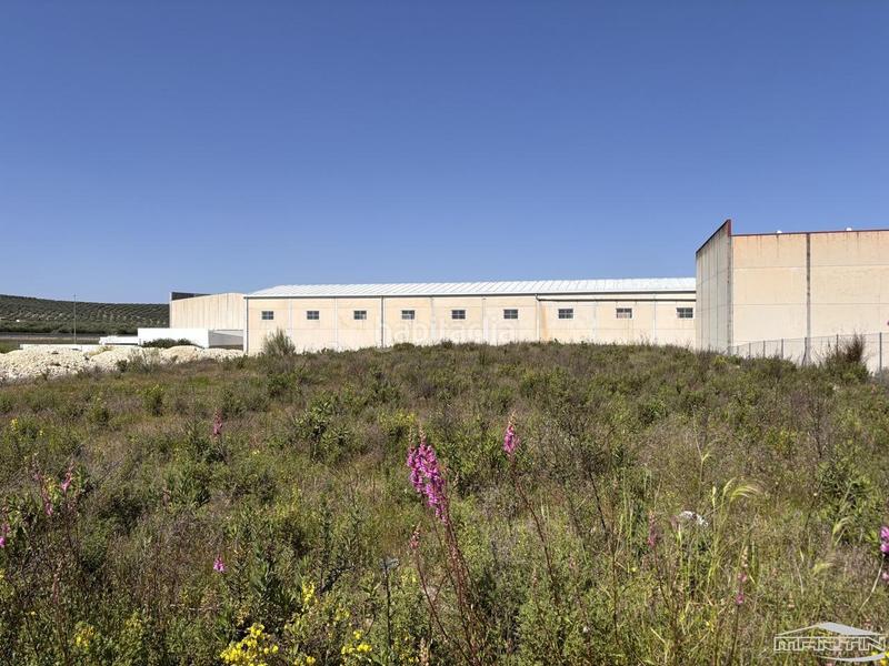 Foto 90b077b0-c113-476c-85e1-94ecc0025c00. Terreno residencial en Las Vegas - Campoaras Lucena