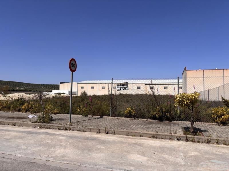 Foto c0bdda75-0e4c-4b44-920d-0519ca625bc2. Residential plot in Las Vegas - Campoaras Lucena